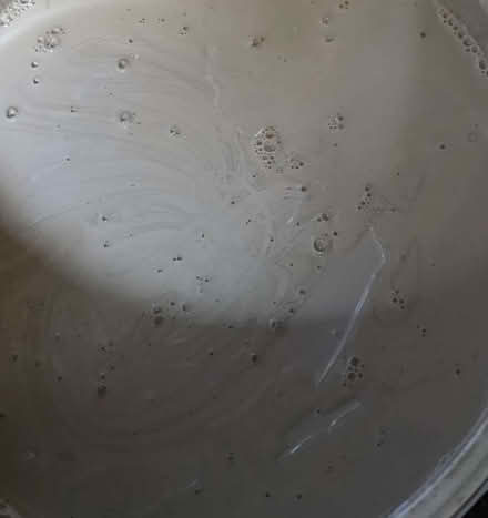 Photo of free Large mushroom Matt emulsion. (Clive Vale TN35) #2