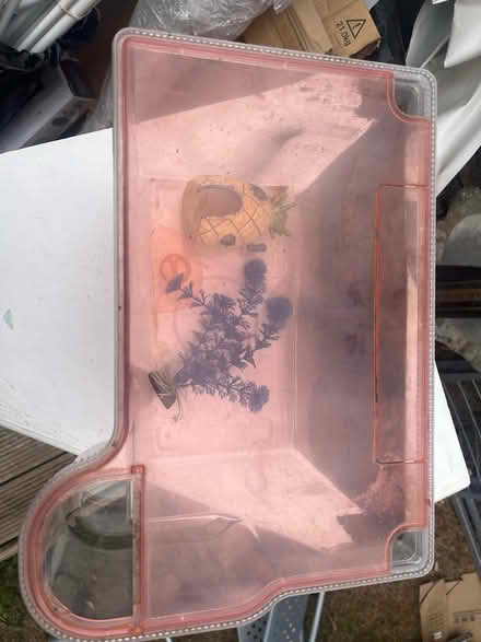 Photo of free Fish tank (RM6) #2