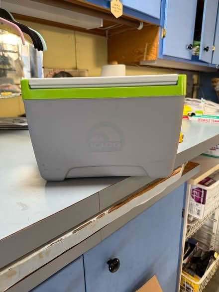 Photo of free Igloo Cooler (South San Jose) #1