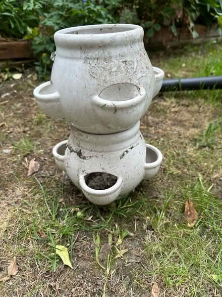 Photo of free Plant pots in white (Longsight M18) #3