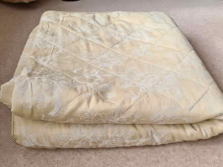 Photo of free Bedspread and pillow (Oswestry SY10) #2