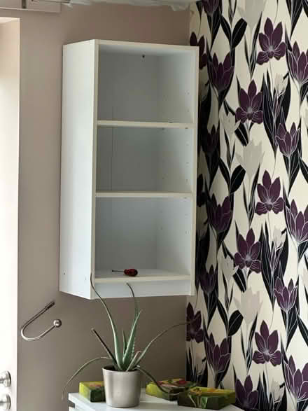 Photo of free today only (SE20 7NN) #2