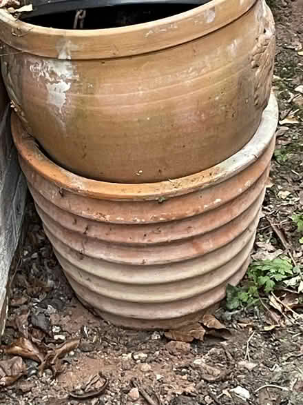 Photo of free Plant Pots (Whaley Thorns NG20) #1