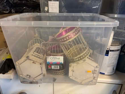 Photo of free Decorative Cages (CR2 9BX) #3