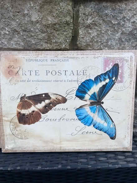 Photo of free Portraits x3 (Bolton le Sands LA5) #2