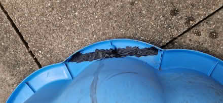 Photo of free Paddling pool. (Shelton Lock DE24) #2