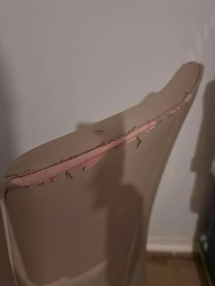 Photo of free 1 dining chair (Montpelier BS6) #3