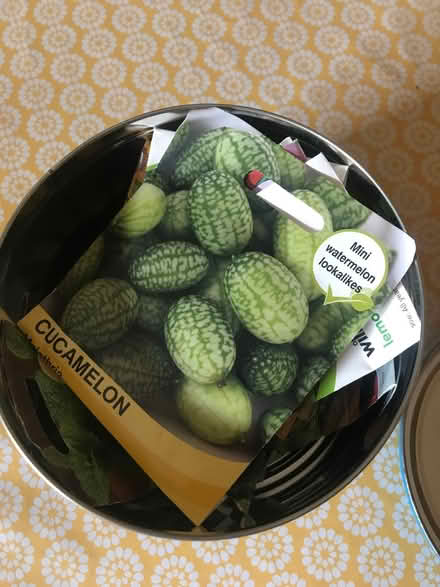 Photo of free Tin of seeds (St Albans) #2