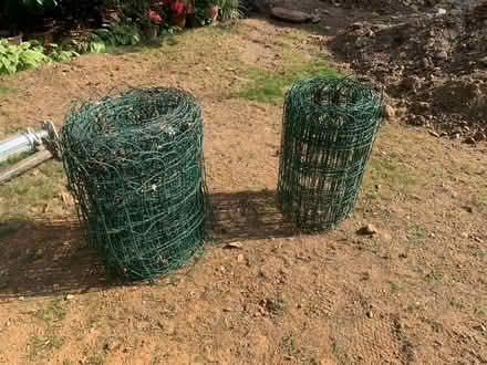 Photo of free 2 Rolls of Wire Mesh Fencing (Molesey KT8) #1