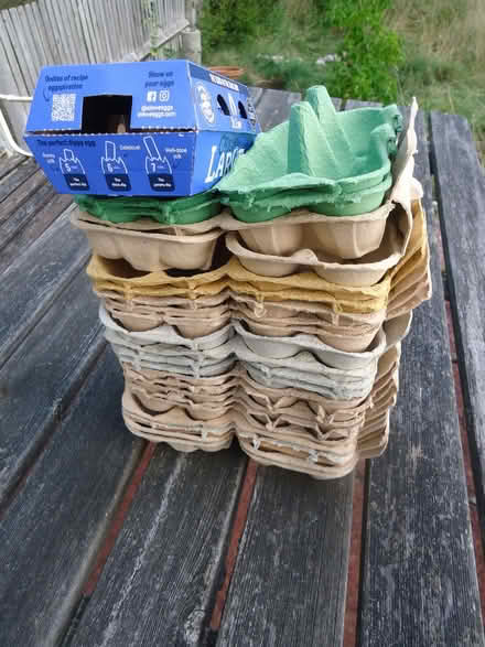Photo of free Egg boxes X 24 (Willingdon BN20) #1