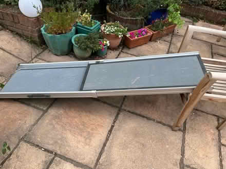 Photo of free Portable dog ramp (SP11. Near Thruxton) #1