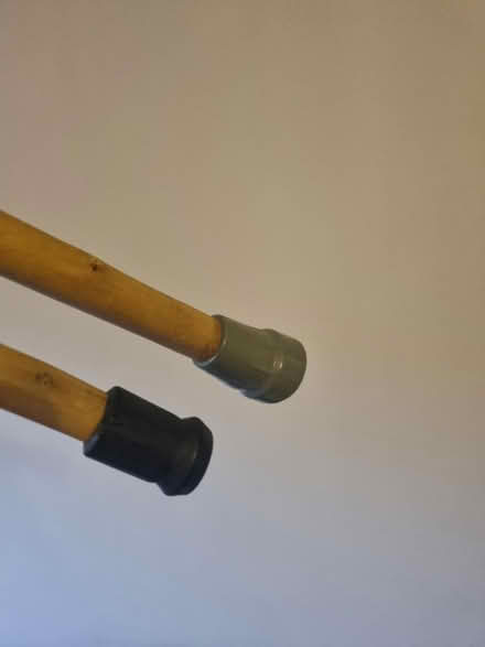 Photo of free Walking sticks (SE20) #3
