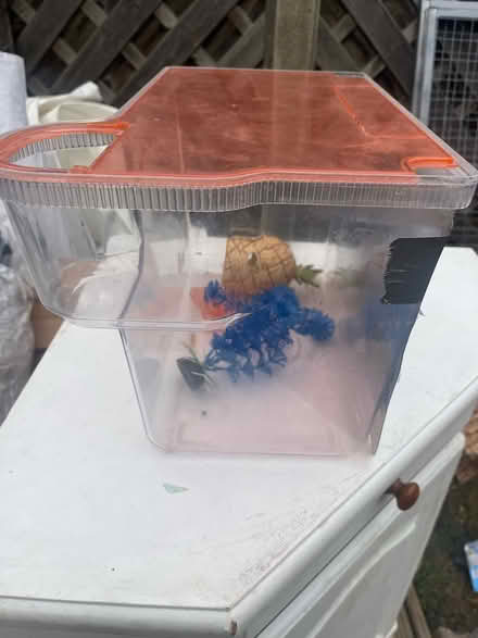 Photo of free Fish tank (RM6) #3