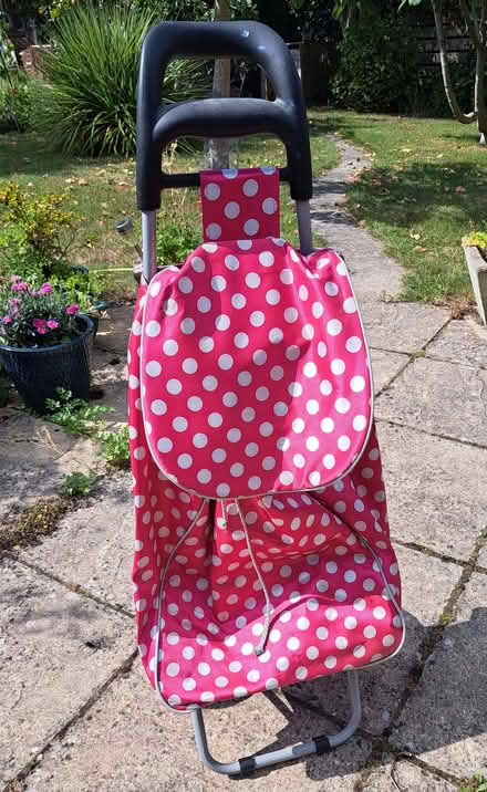 Photo of free Shopping trolley (Steyning BN44) #2