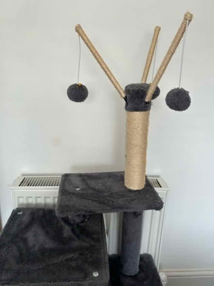 Photo of free Cat tower / tree (Worcester) #2