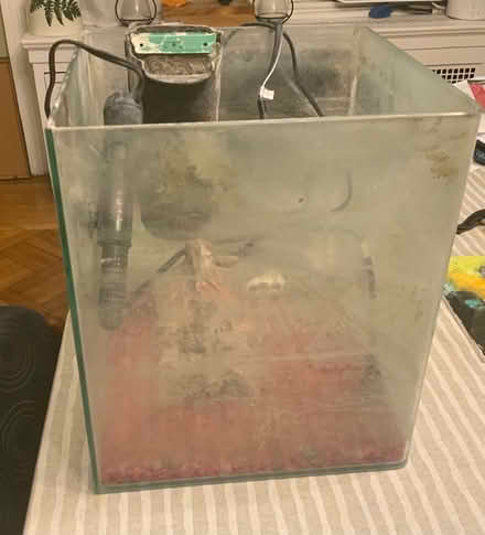 Photo of free Glass Fish Tank (Upper West Side.) #3