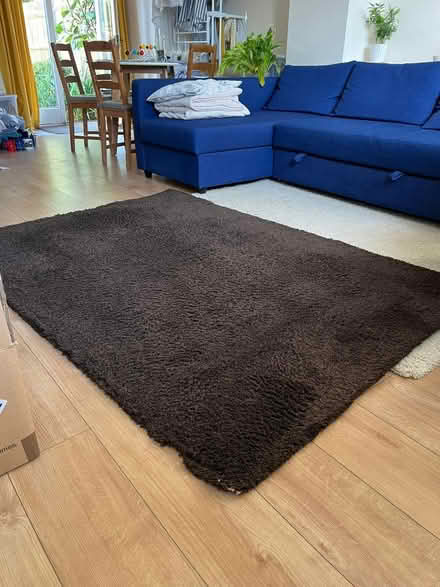 Photo of free IKEA rug (Cowley OX4) #1