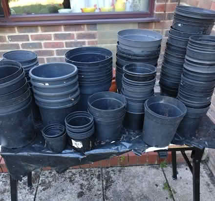Photo of free Pots - all sizes and colours (Southwater) #3