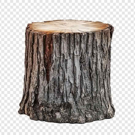 Photo of Cut tree trunks (Potomac MD) #1