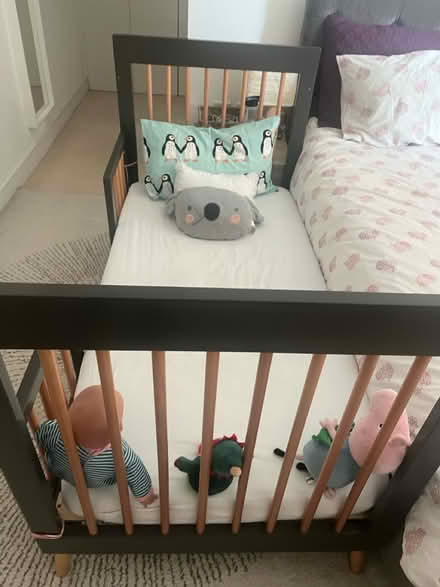 Photo of free Baby & Toddler Cot Bed (Kidbrooke, SE3) #4