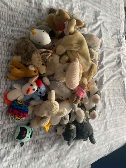 Photo of free Various toys (Boughton Monchelsea ME17) #3