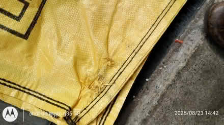 Photo of free Hippo bag (DH3) #2