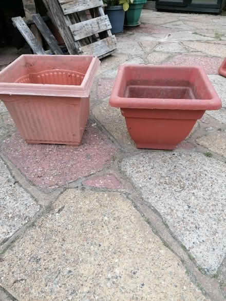Photo of free Plastic plant pots (Langney BN23) #3