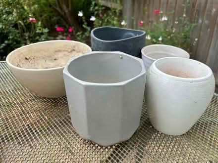 Photo of free Assorted small plant pots (Barkham RG41) #1