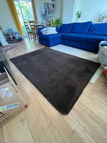 Photo of free IKEA rug (Cowley OX4) #3