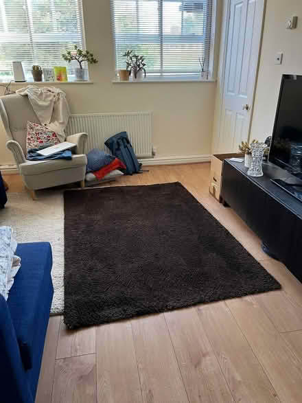 Photo of free IKEA rug (Cowley OX4) #2