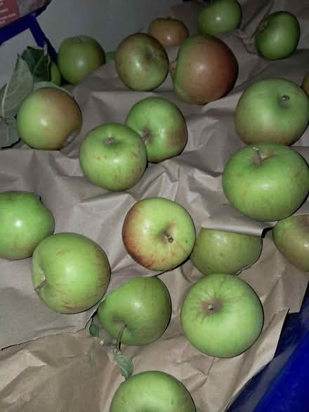 Photo of free Bag of apples (Dunton Green TN13) #1