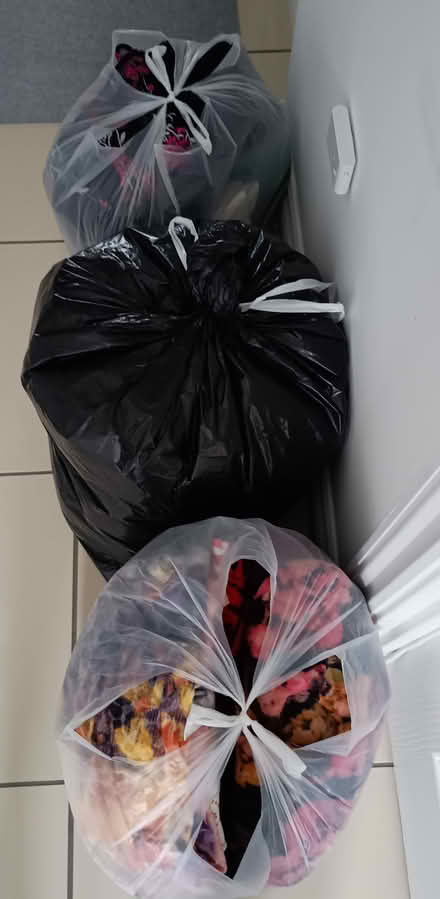 Photo of free Clothing mostly 10-12 women's (Thornbury BD3) #1