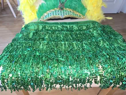 Photo of free Carnival accessories (BH2) #3