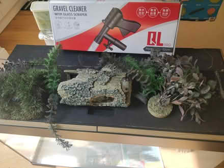 Photo of free fish tank (orpington) #1