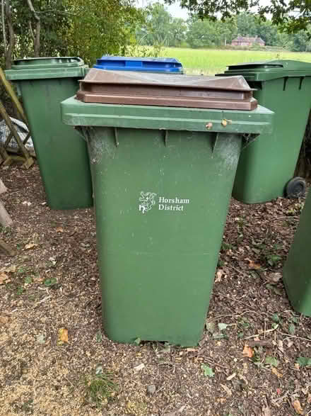 Photo of free Horsham green waste bin (Shipley RH13) #1