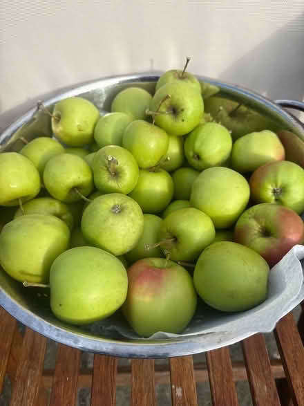Photo of free Apples (Norbury CR7) #2