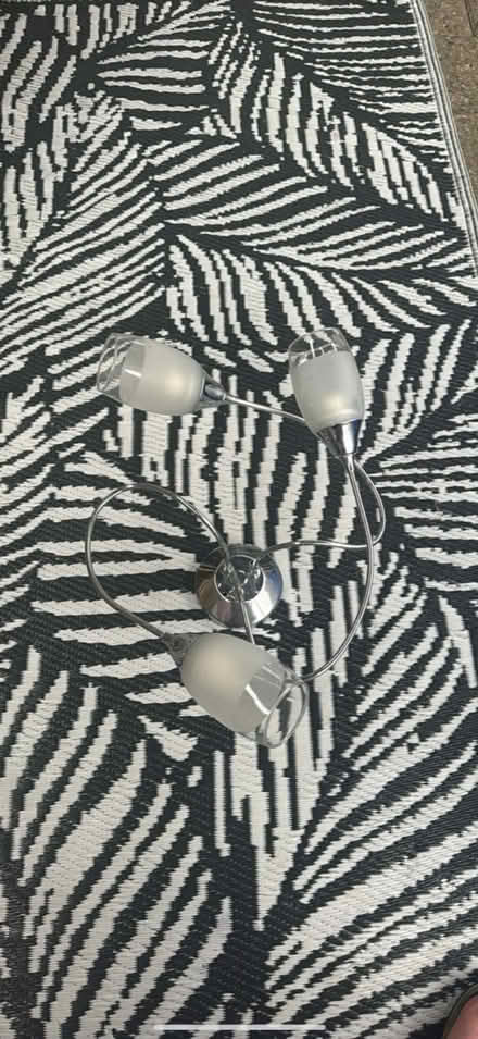 Photo of free Ceiling light (Leicester forest east) #1