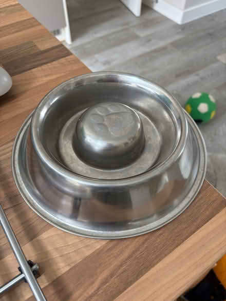 Photo of free Dog bowl (Bishops Tachbrook CV33) #1