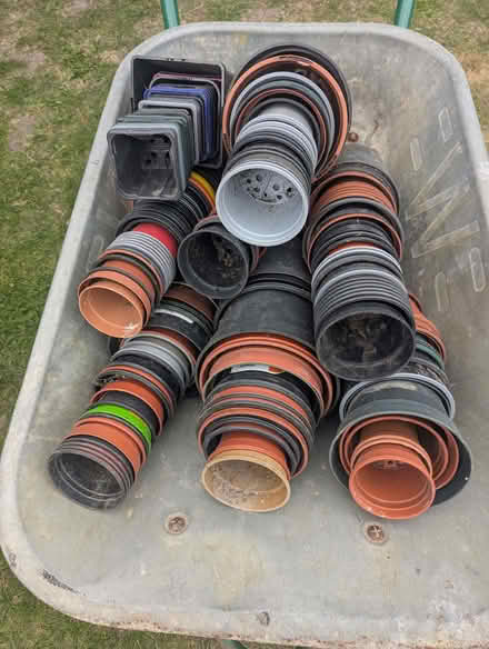Photo of free 100 + Plastic plant pots (Eastbourne BN21) #1