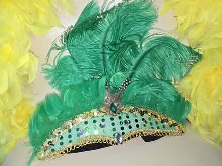 Photo of free Carnival accessories (BH2) #2