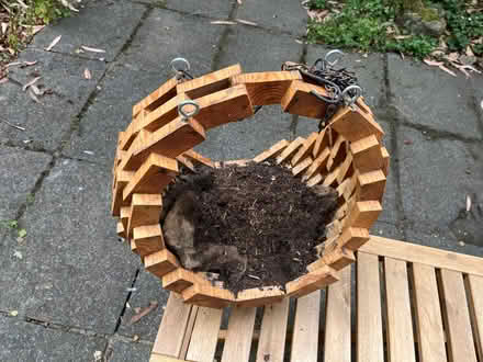 Photo of free Artisan hanging basket (Chapel Allerton LS7) #1