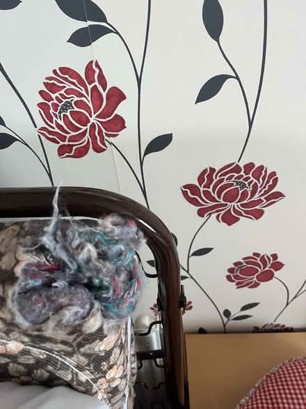 Photo of free Folding single bed (Hampden Park BN22) #2