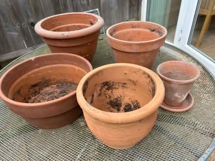 Photo of free Assorted terracotta plant pots (Barkham RG41) #2