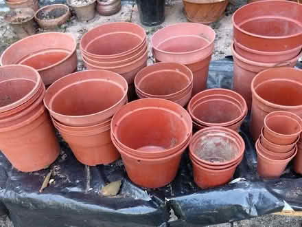 Photo of free Pots - all sizes and colours (Southwater) #4