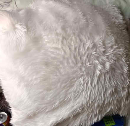 Photo of free White fluffy cushion with inner (Fulwood preston PR2) #1