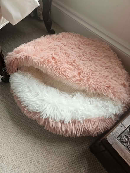 Photo of free Dog bed, not used (Kenilworth CV8) #1