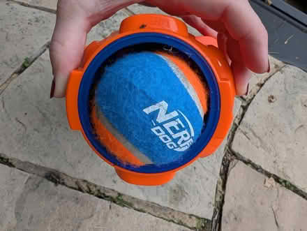 Photo of free Nerf Dog Ball shooter (Wokingham RG41) #2