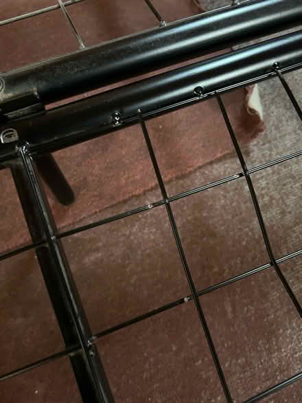 Photo of free Folding double bed (Blackboys TN22) #2