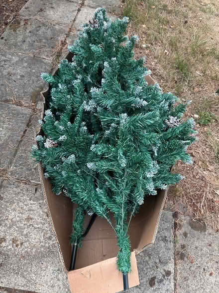 Photo of free Christmas tree (Bracknell RG12) #2