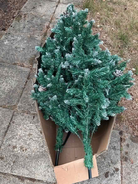 Photo of free Christmas tree (Bracknell RG12) #3